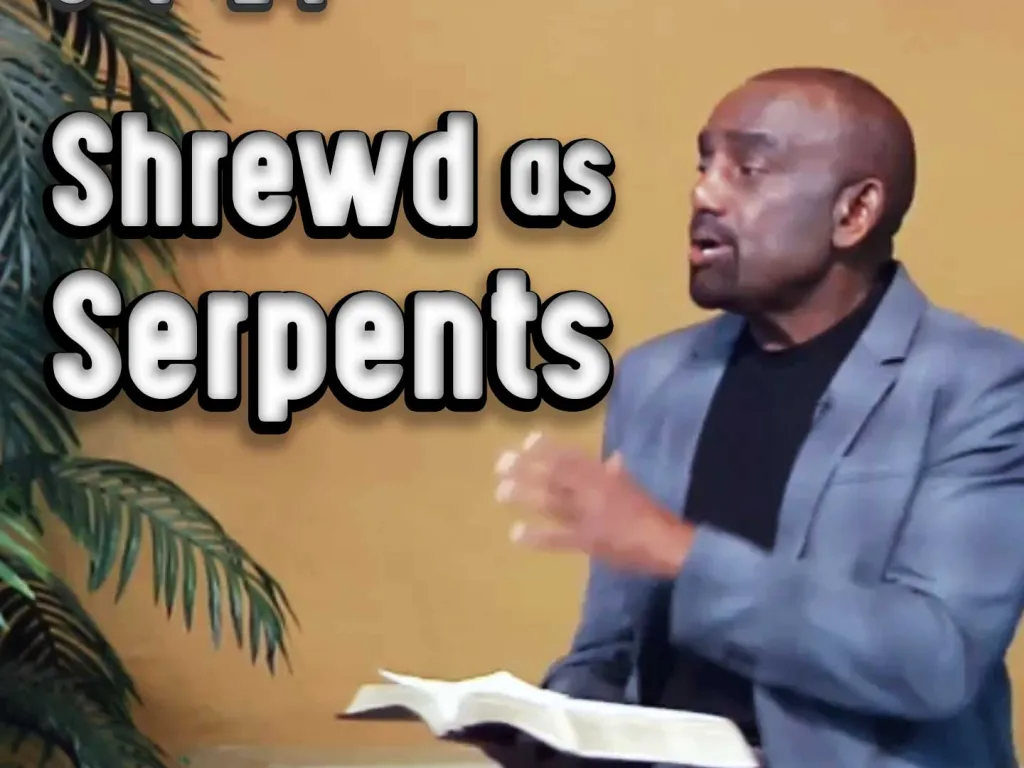 Are Christians Winning the Spiritual War? Archive 9/7/14 (Cunning as Snakes / Shrewd as Serpents)